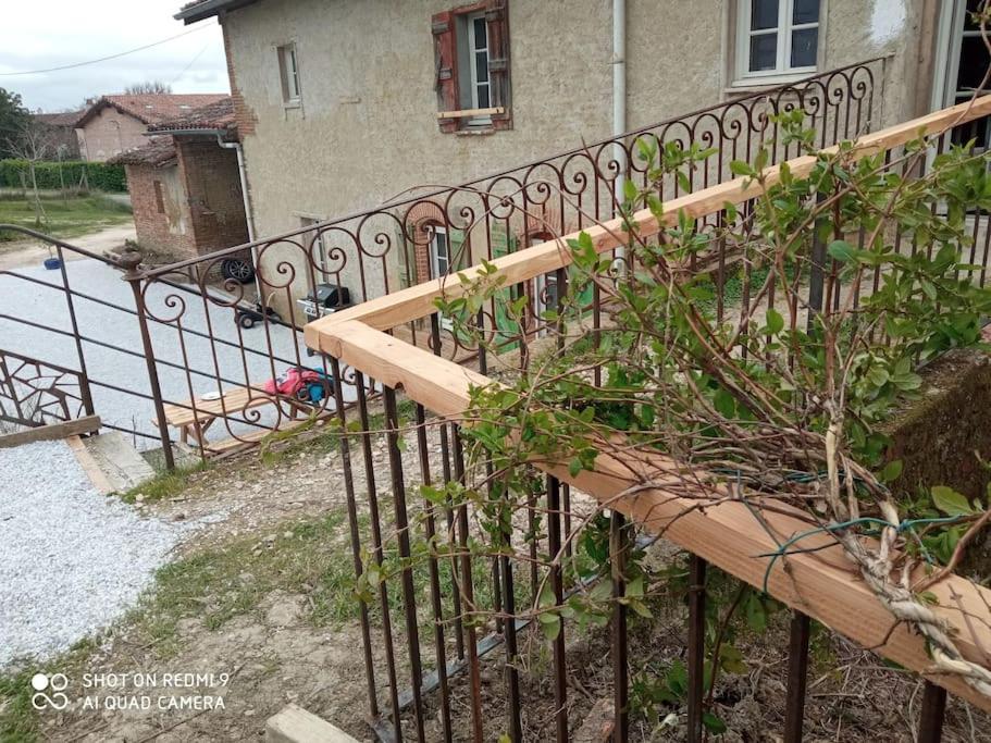 Maison Lauraguaise Parking Grand Jardin Wifi Vakantiehuis